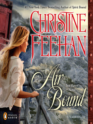 cover image of Air Bound